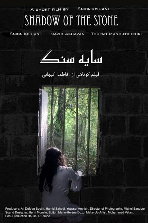 Shadow of the Stone poster