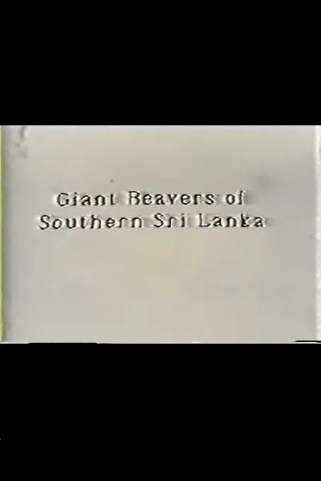 Giant Beavers of Southern Sri Lanka poster
