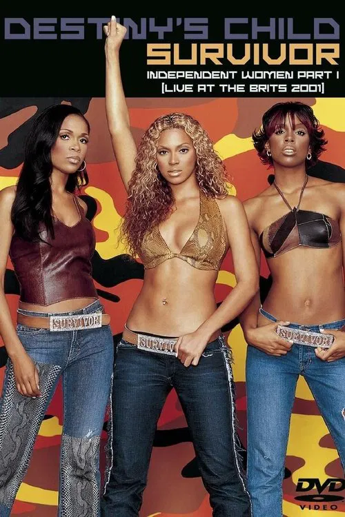 Destiny's Child: Survivor poster
