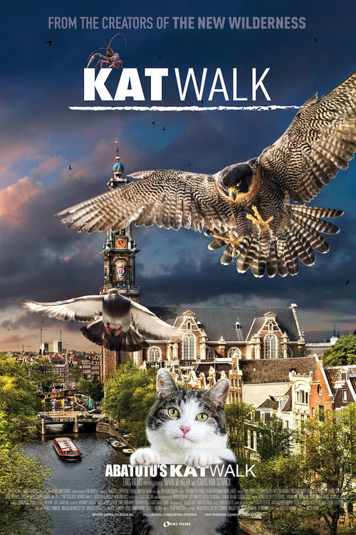 Katwalk poster