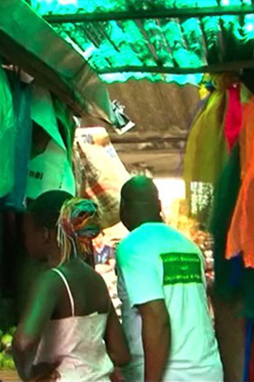 NGO (Beninese Solidarity with Endangered Westerners) poster