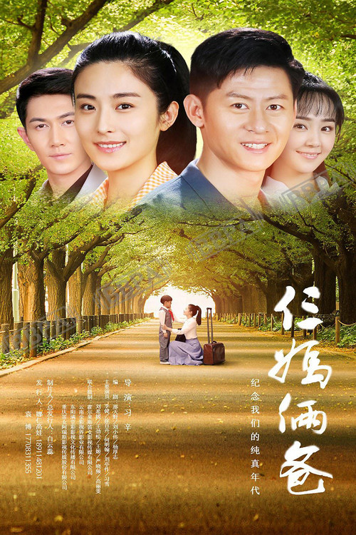 My Three Moms and Dads poster