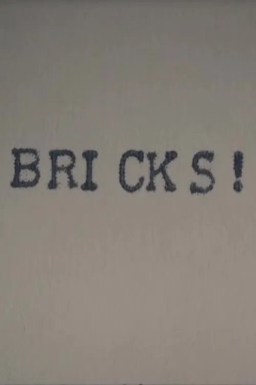 Bricks! poster
