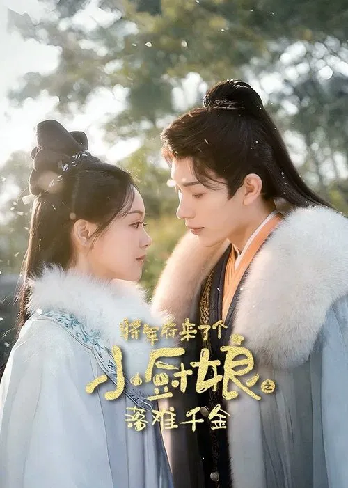 将军府来了个小厨娘之落难千金 poster