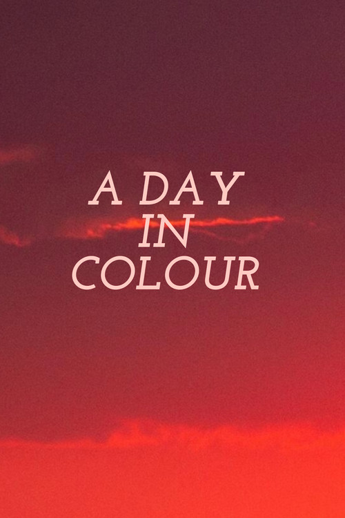 A Day in Colour poster