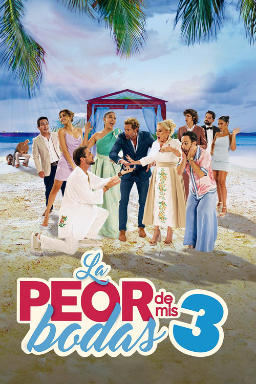 La peor de mis bodas 3 poster