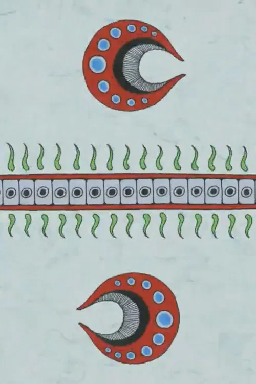 CHAOTIC ORDER poster