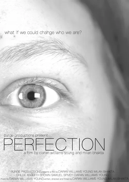 PERFECTION poster