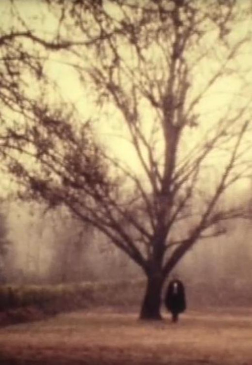 D. Jaime or the Portuguese Night poster