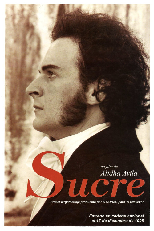 Alidha Ávila's Sucre poster