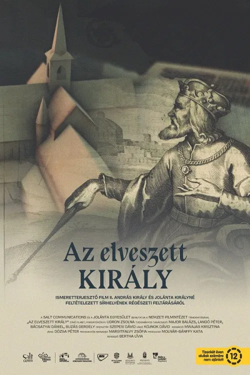 Az elveszett király poster