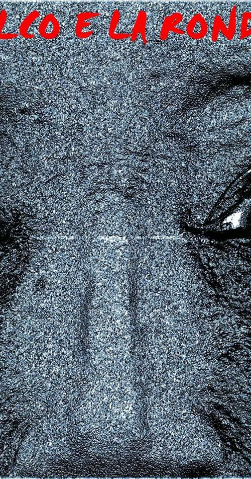 Il falco e la rondine poster