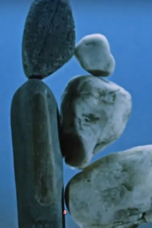 Kámen a život poster