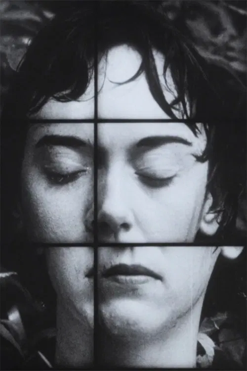 A Temporary Arrangement poster