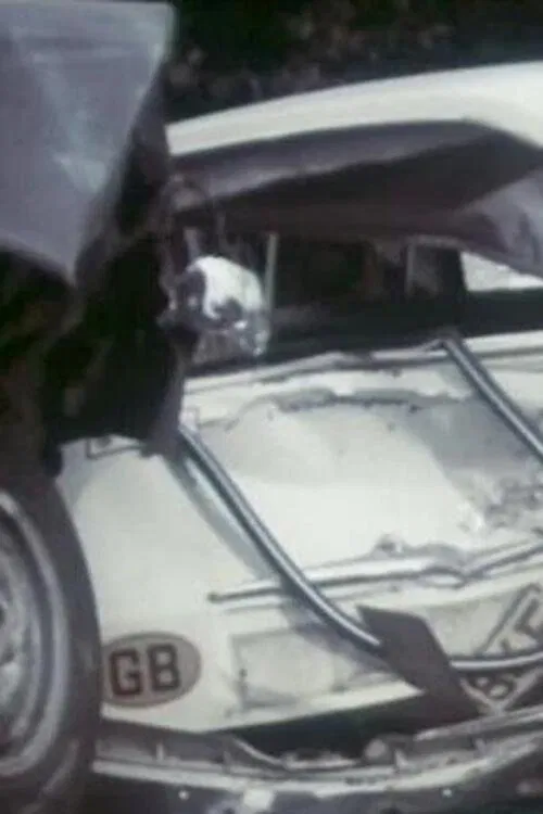 Only a Fool Breaks the 2 Second Rule: Pile-up poster