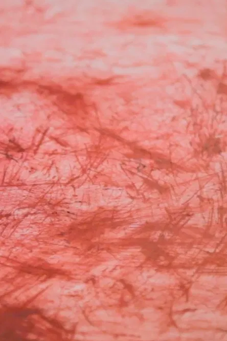 Until My Fingers Bleed poster