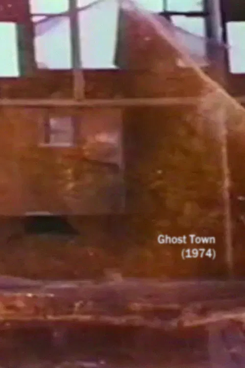 Ghost Town poster