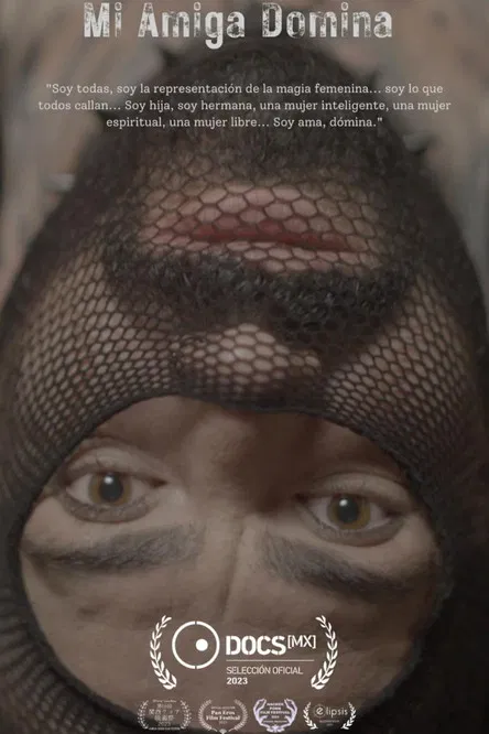 Mi amiga Domina poster