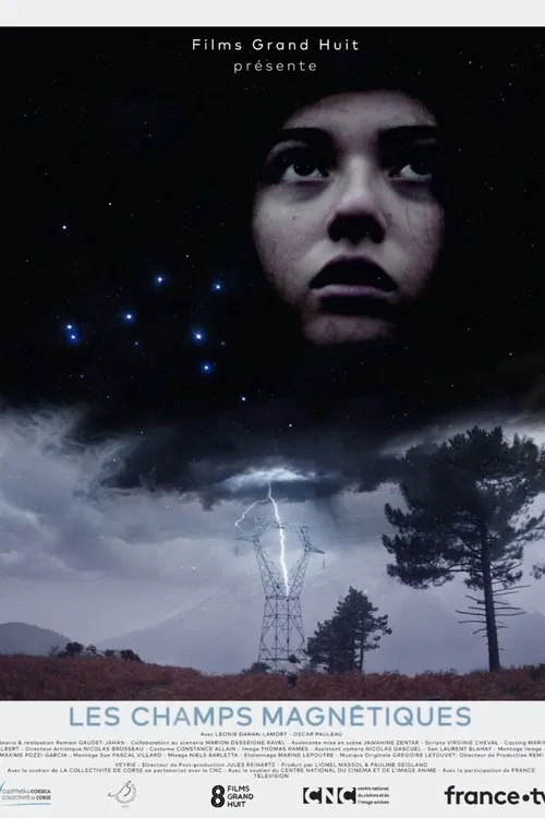 Magnetic Fields poster