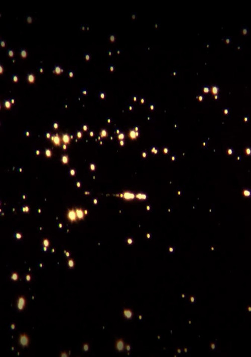 Tigre del Carbón poster