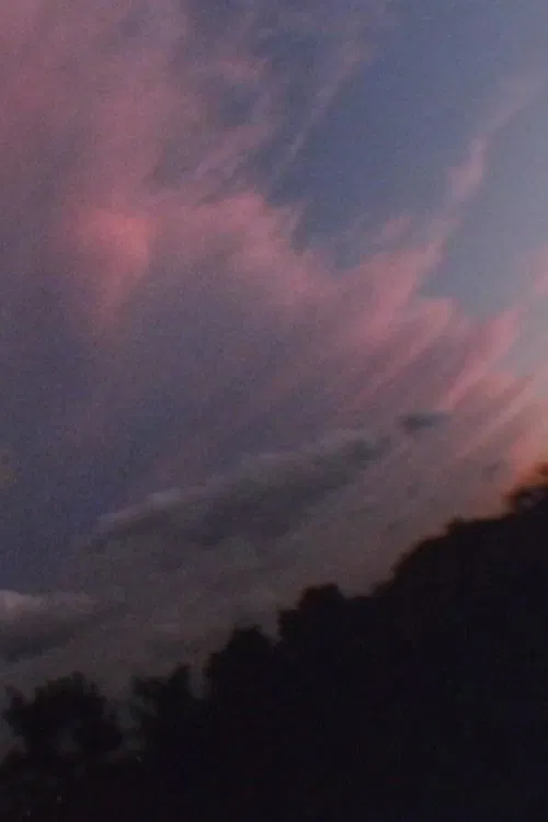 Brilliant Garden poster