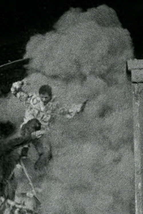 The Black Cat poster