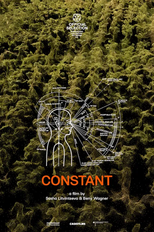Constant poster