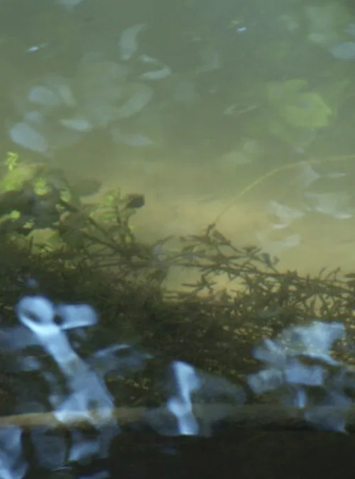 Heartbroken for Good poster