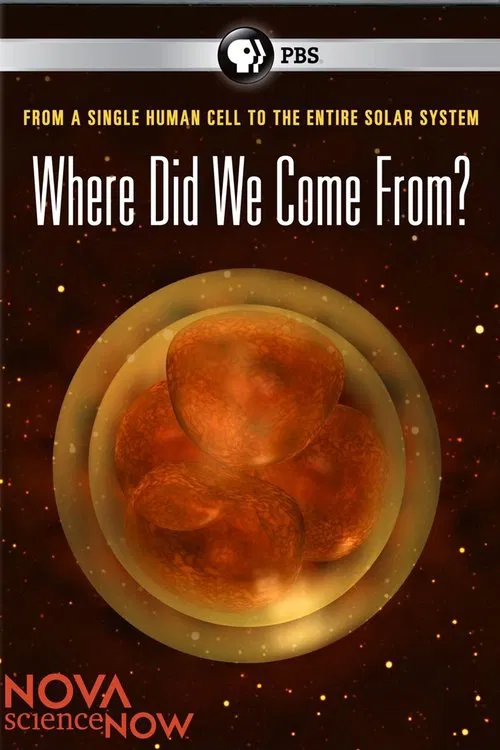 Where Did We Come From? poster