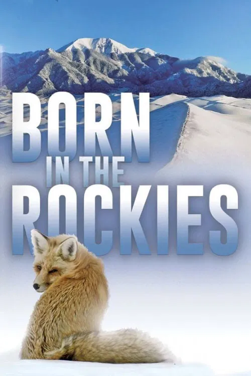 Born in the Rockies poster