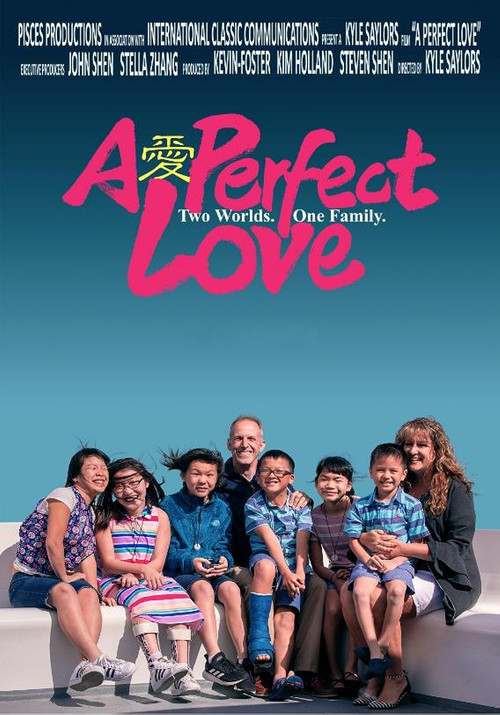 A Perfect Love poster