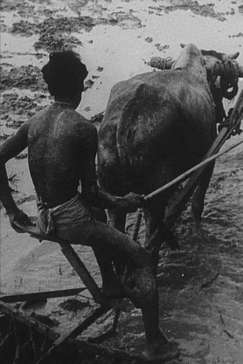 We Have Promises to Keep poster