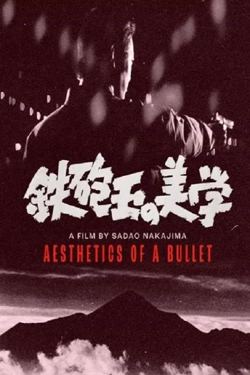 Aesthetics of a Bullet poster
