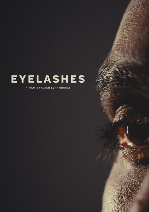 Eyelashes poster