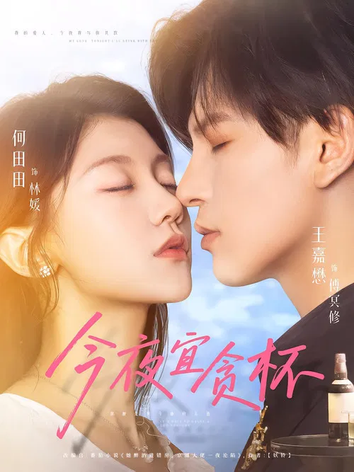 今夜宜贪杯 poster