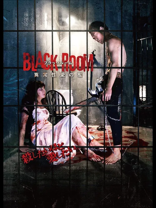 Black Room poster