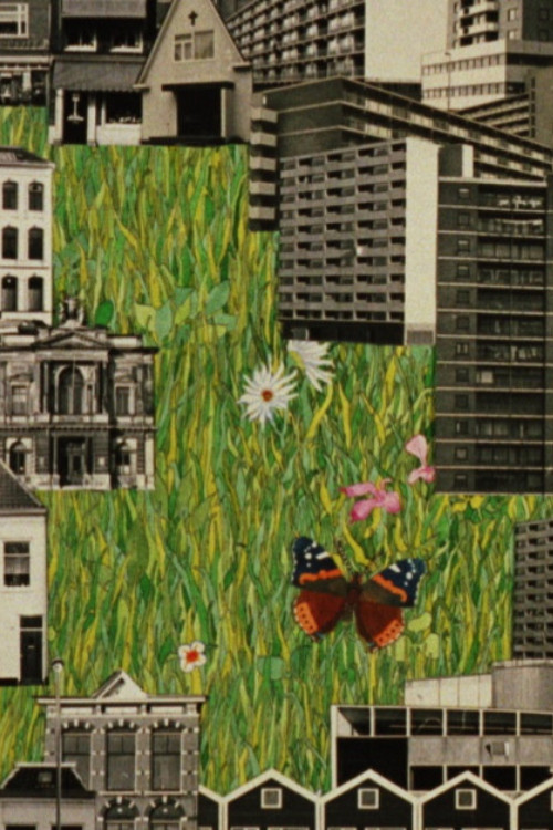 Butterfly R.I.P. 1975 poster