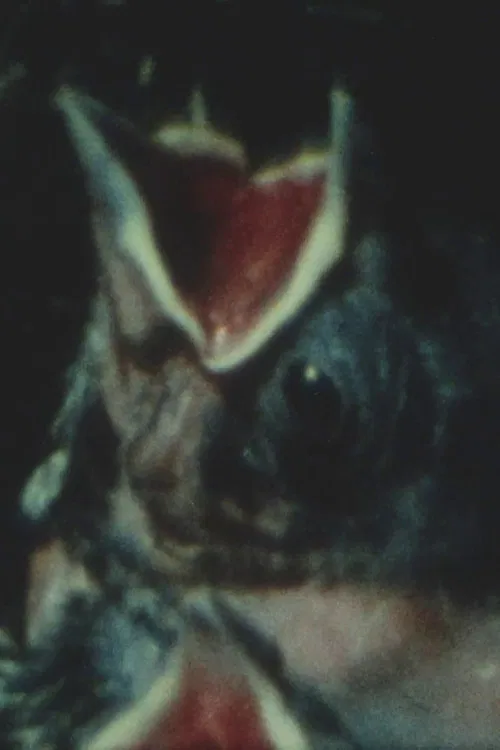 Anything is Everything poster