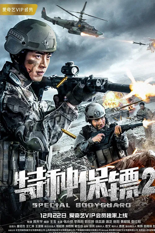 特种保镖2 poster