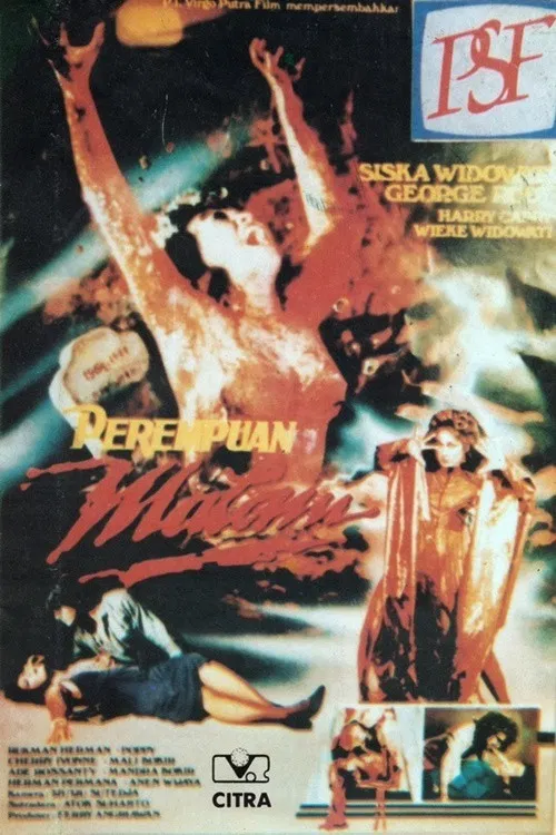 Night Woman poster