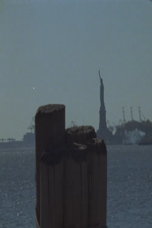 Joy And Love For All Things in the Garden poster