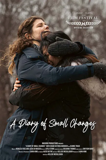 A Diary of Small Changes poster
