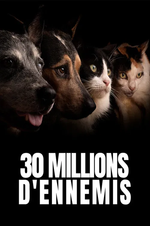 30 millions d'ennemis poster
