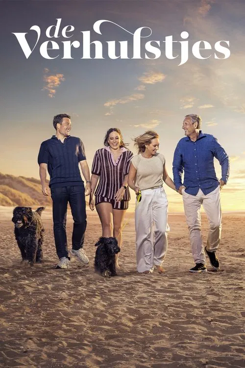 De Verhulstjes poster