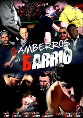 Gamberros del Barrio poster