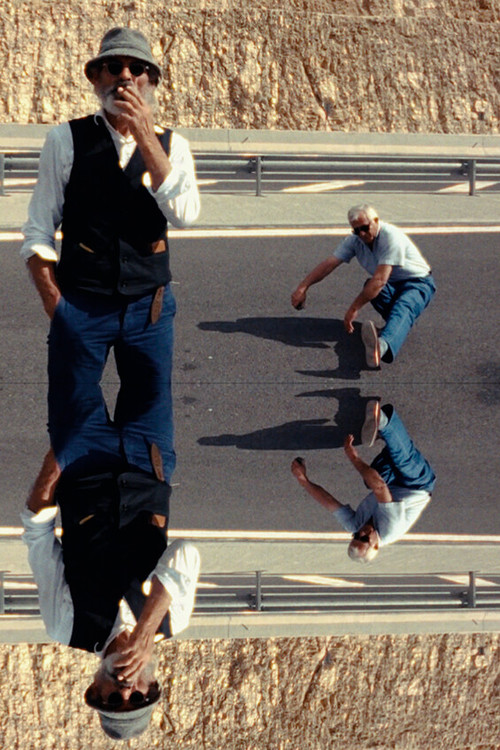 METAMETA - The World With Out Us poster