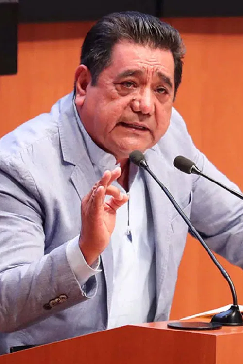 Félix Salgado Macedonio profile