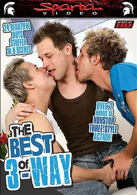 The Best of 3 Way poster