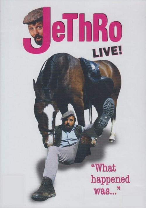 What Happened Was... poster