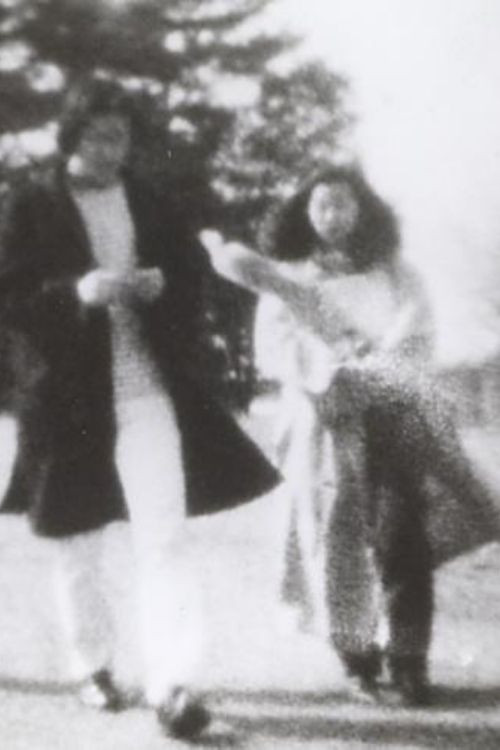 ピクニック poster